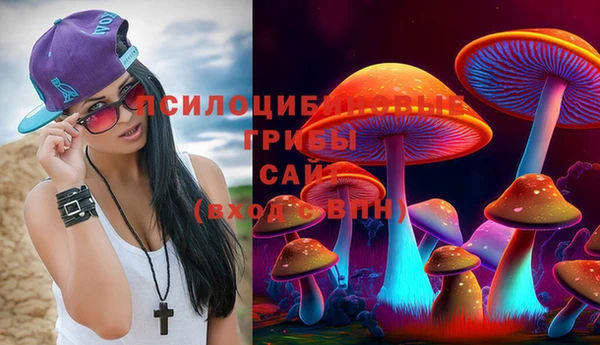 метадон Кодинск