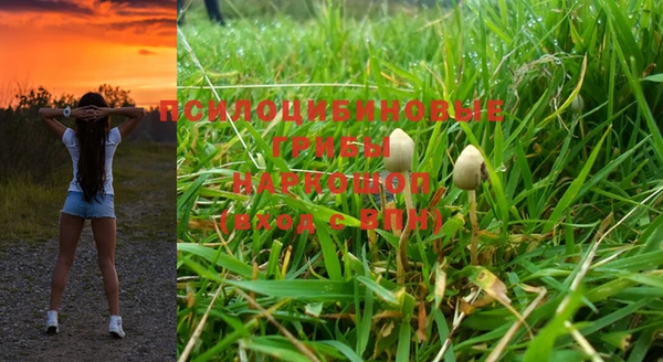 не бодяженный Ахтубинск