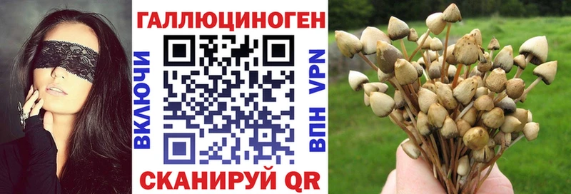 Псилоцибиновые грибы мухоморы  как найти закладки  Лакинск 